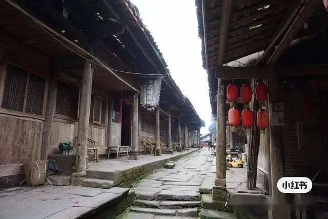 逃离橙园